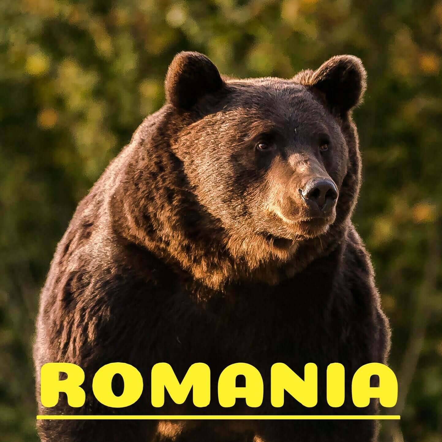 Romania Exposed: Eye-Opening Culture, Dazzling Fashion, and Shocking Scandals You Can’t Miss