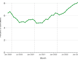 borrower looking at a chart