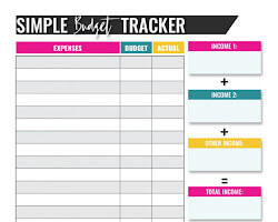 person with a budget tracker