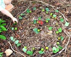 Children playing with sticks and leaves outdoors