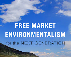 Environmentalism marketing