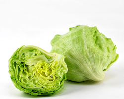 Iceberg lettuce