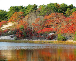 Provincetown, Massachusetts in autumn