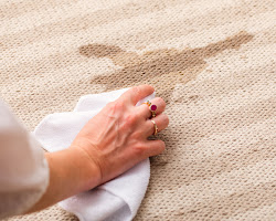 person blotting a stain on a carpet
