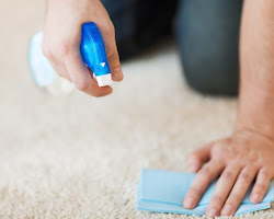 person performing a patch test on a carpet