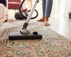 person vacuuming a carpet