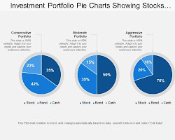 person with a chart showing their investment portfolio