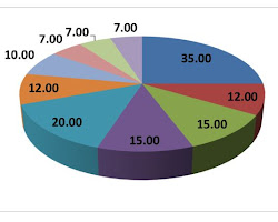 person with a pie chart showing their budget
