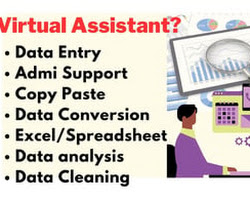 virtual assistant entering data into a spreadsheet